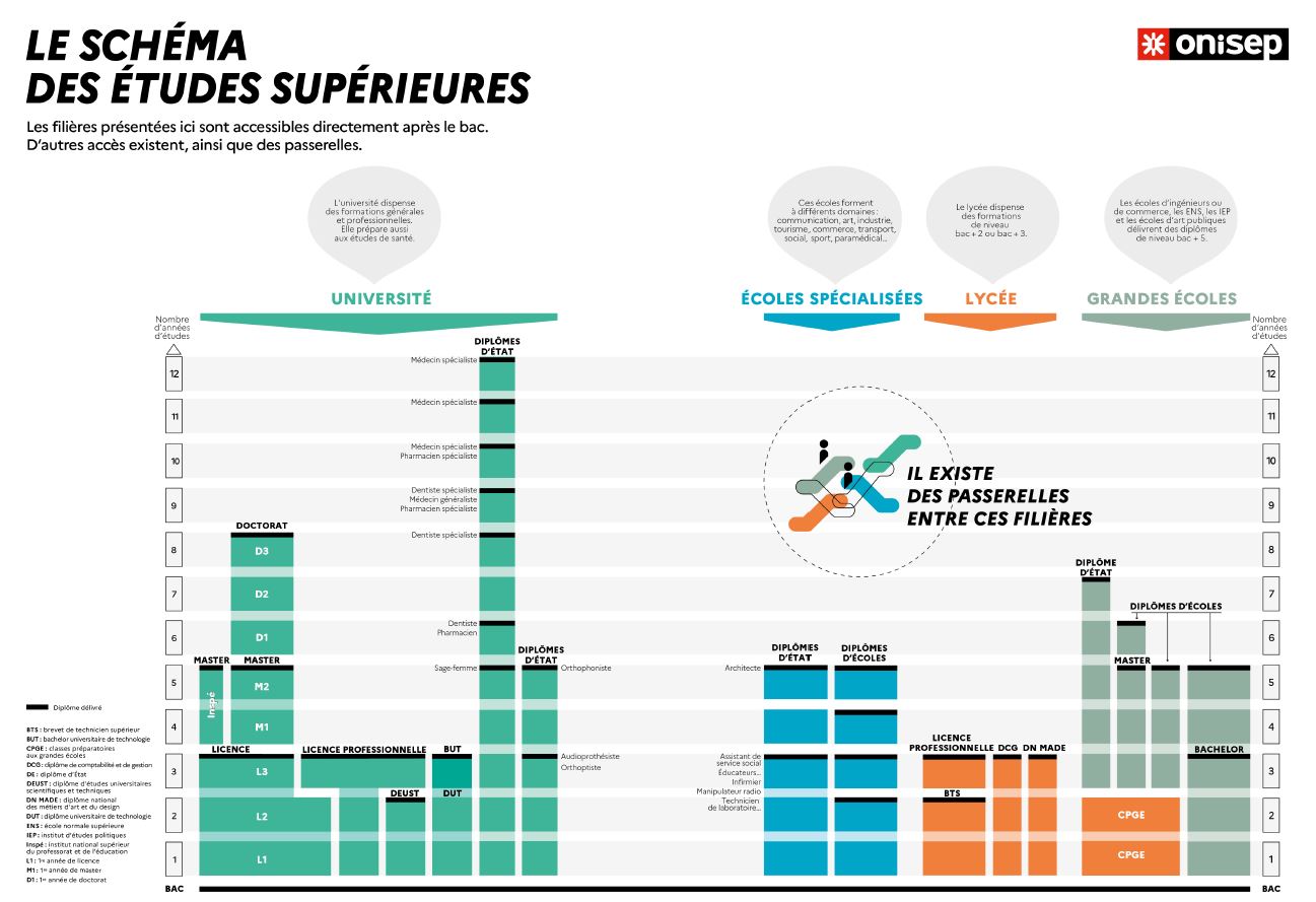 LE SCHEMA DES ETUDES SUPERIEURES – Source ONISEP