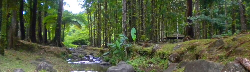 Circonscription de Saint-Joseph