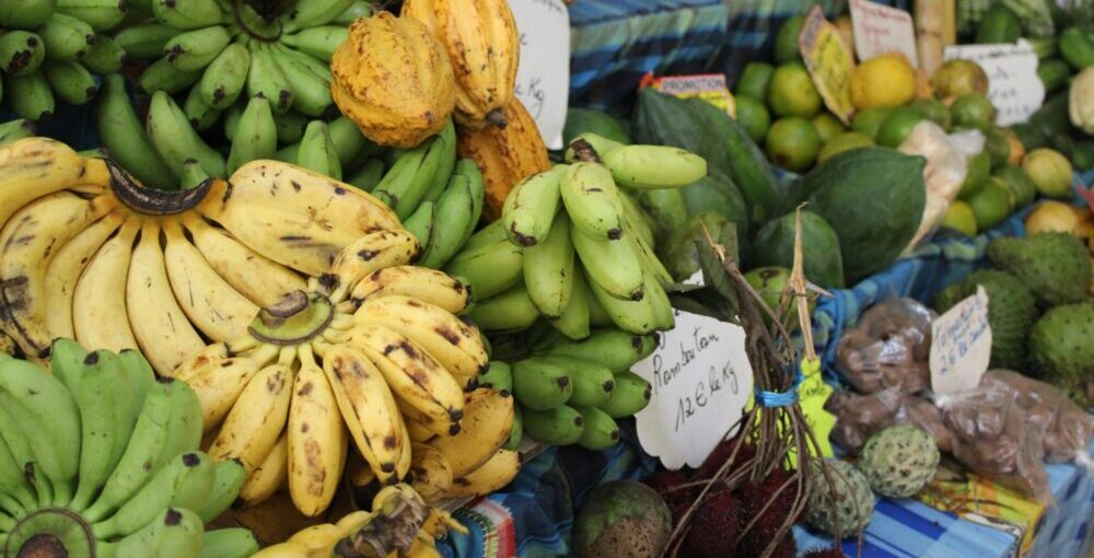 Circonscription de Saint-Joseph