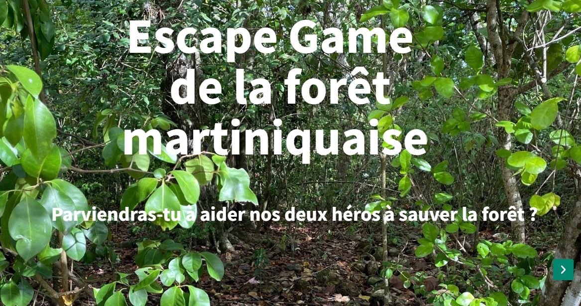 Escape Game de la forêt à Ultima Vestris