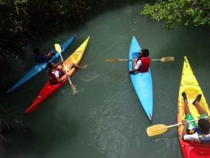 Kayak1 14-06-16