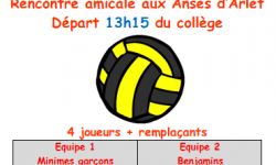 AS VOLLEY / rencontre amicale UNSS / 15 novembre