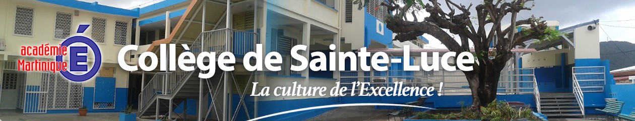 College Sainte-Luce