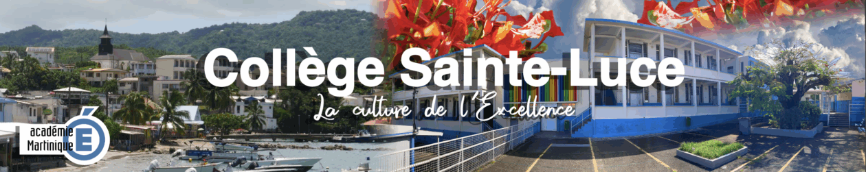 College Sainte-Luce