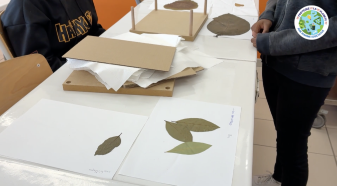 AME – Séance de mise en forme