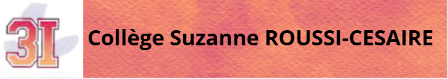 Collège Suzanne ROUSSI-CESAIRE
