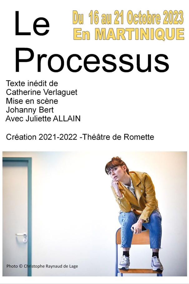 Théâtre contemporain : Le Processus