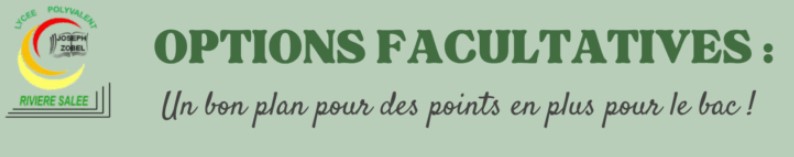 OPTIONS FACULTATIVES