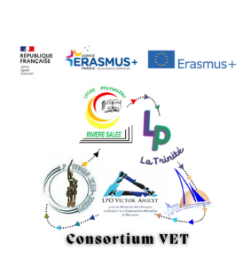 CONSORTIUM VET 26-Peti