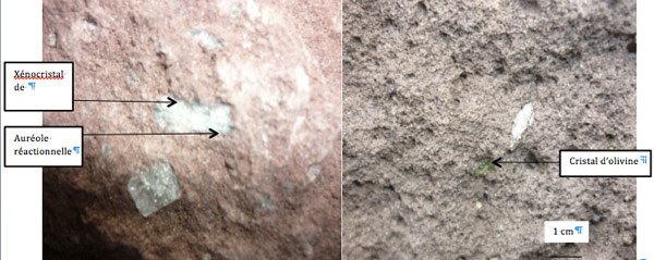  Détail du basalte à quartz : cristal allongé strié de plagioclase à auréole réactionnelle (à gauche) et cristal d’olivine (à droite). Cliché Urity, 2013
