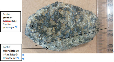 Echantillon de cumulat type diorite quartzite dans une enclave d'Andésite à hornblende. origine : Roche Genty ; Anses d'Arlet, Urity 2013.